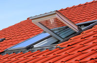 Hassocks roof window